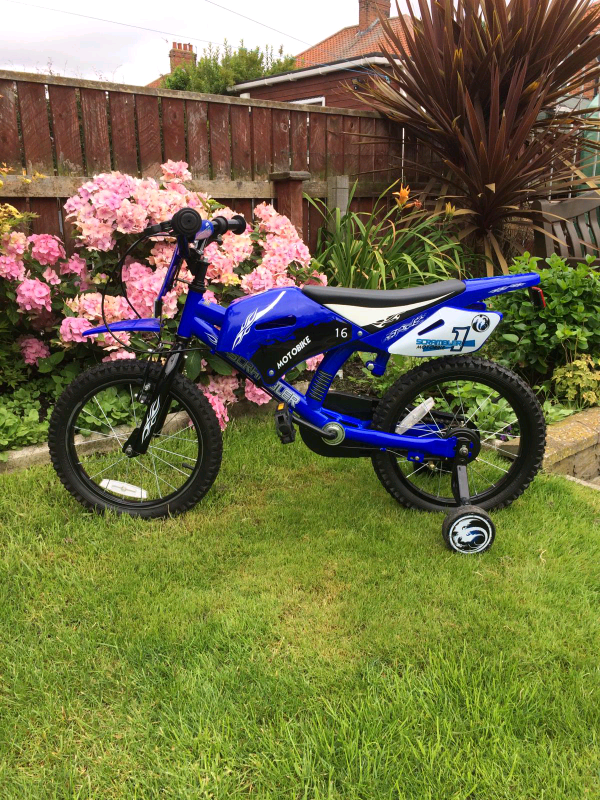 12 scrambler bike